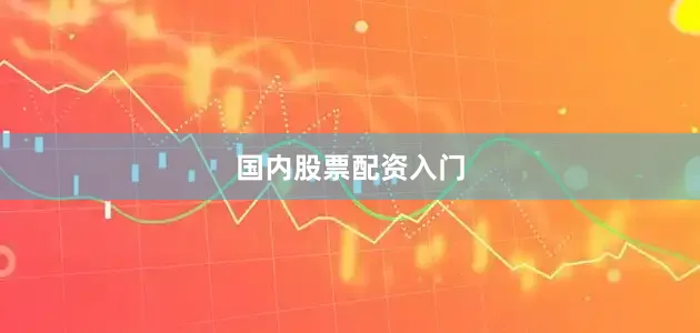 国内股票配资入门