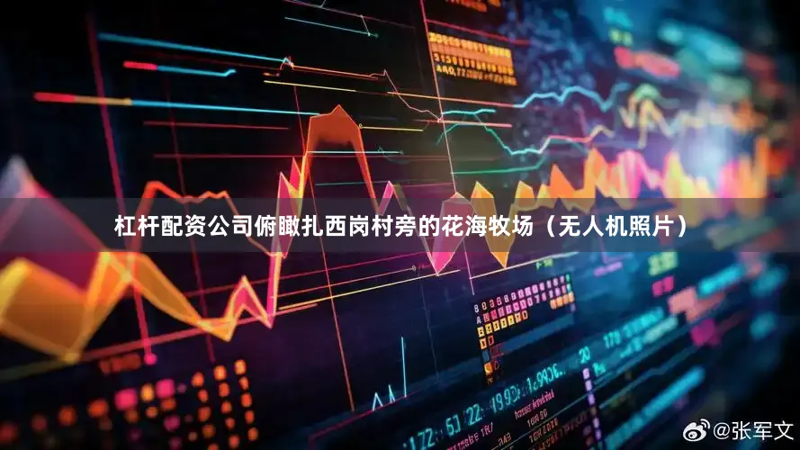 杠杆配资公司俯瞰扎西岗村旁的花海牧场（无人机照片）