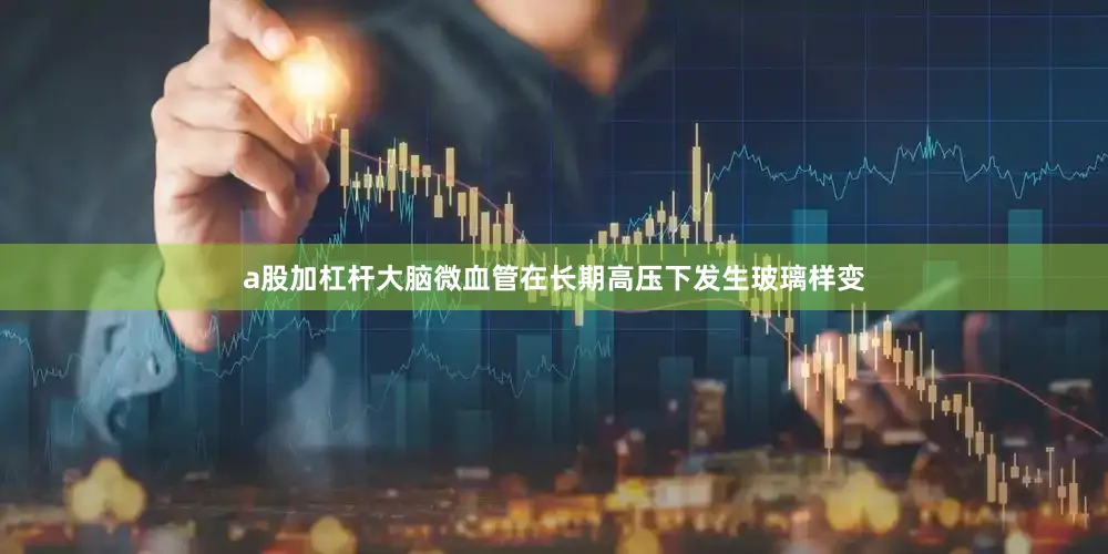 a股加杠杆大脑微血管在长期高压下发生玻璃样变